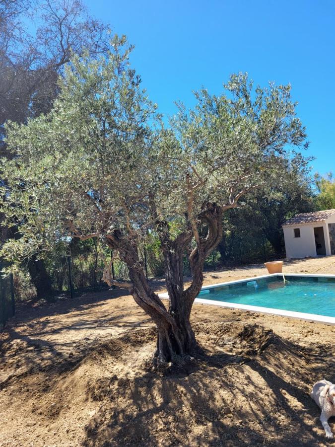 Villa Gitedelea Aubignan Eksteriør bilde